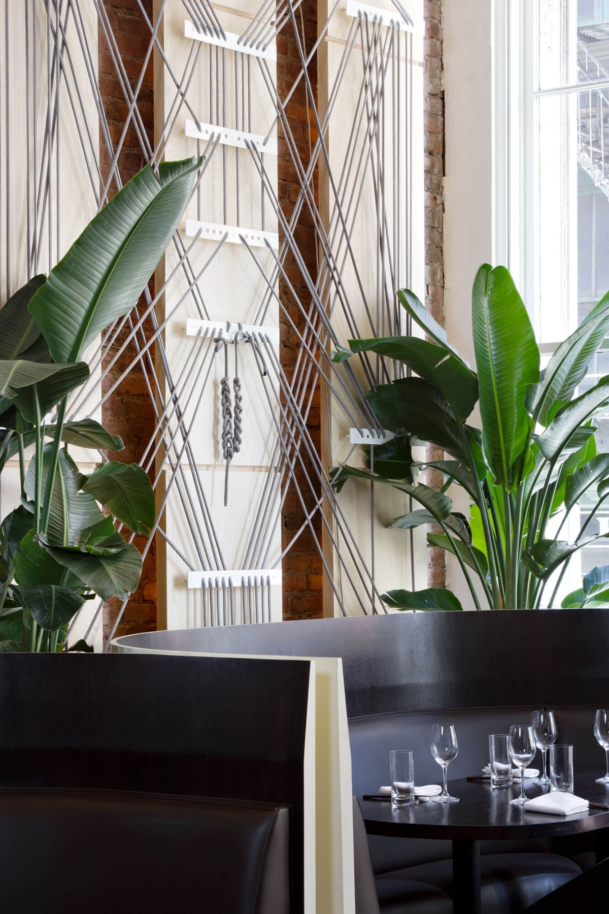 rafael-de-cardenas-niko-restaurant